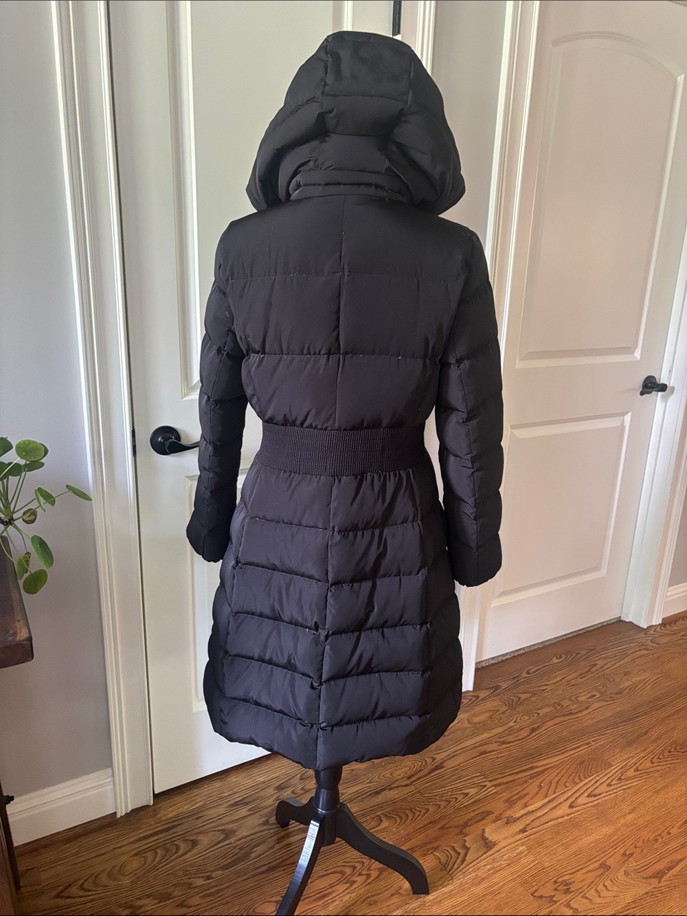 genuine down coat - Picture 3 of 5
